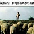 小王244706258头像