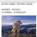 智勇双全面条KH头像