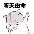 MrZhang23246813584头像
