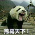 你老陈头像