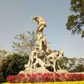 雄2461429头像