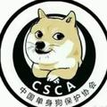 CSCA董事长 · 长安UNI-V车主·车龄2年头像