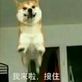 我的初恋是极品头像
