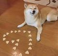 zjjxhy头像