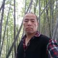 米老虎24733头像