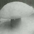 冬日苍白如雪94357头像