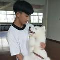 张先森743头像