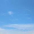 纵步凌空781头像