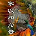 健康快乐每一天935头像
