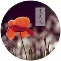 孙伟彬828头像