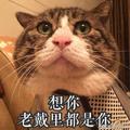 喜感头像