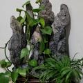 温暖阳光298头像