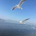 旅行8408头像