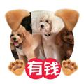 张新 ^O^头像