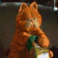 猪猪侠头像