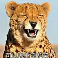 晓帅476头像