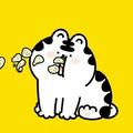 不慕春暖头像