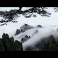悠游（宋松）头像