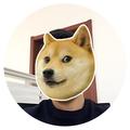 Ambitious garlic头像