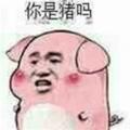 用户268832116头像