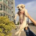 林易水头像