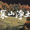 深山净土（王礼斌）头像