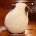 Carpe Diem头像