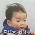 偶尔放下牛 · 标致408车主·车龄2年头像
