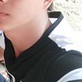 珍惜如金头像