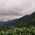 小宗头像