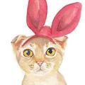 猫人头像