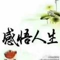 翟青峰头像