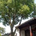 杨志远844头像