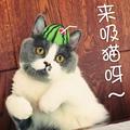 Joyee头像