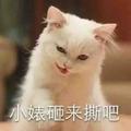 彼岸211228232头像