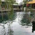 水果沙拉4748头像