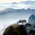 闭门即是深山971头像