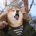 PeinJ头像