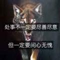 杜金鸿930头像