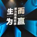 风飞扬TDYU头像