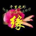 爱拼才能赢5472头像