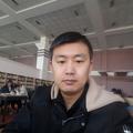 沉香海豚头像