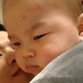 猪头001头像
