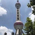淡定哥652头像