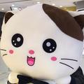 张君3686头像