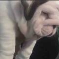 笨笨159870头像