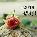 简简单单25505头像