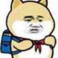 我真465头像