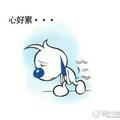 卷心草 · 帝豪EV车主·车龄9年头像