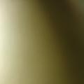 简单就好29616696头像